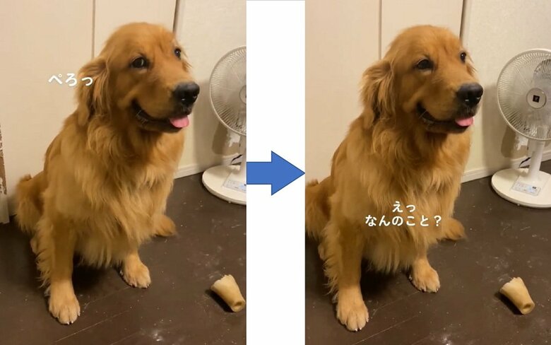 「もう良いよね」ととぼけ顔