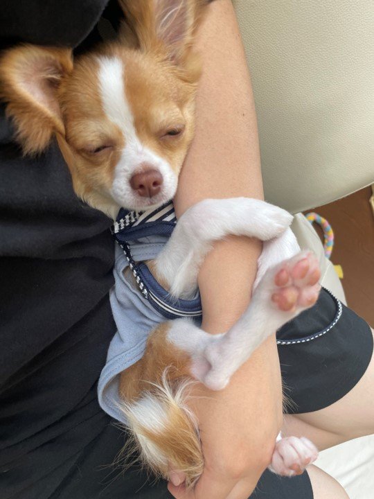 提供：ふくのすけさん