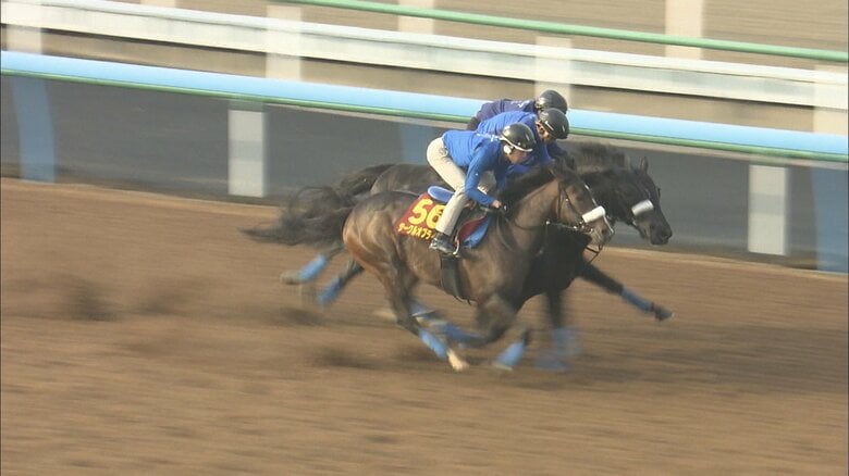 サークルオブライフ