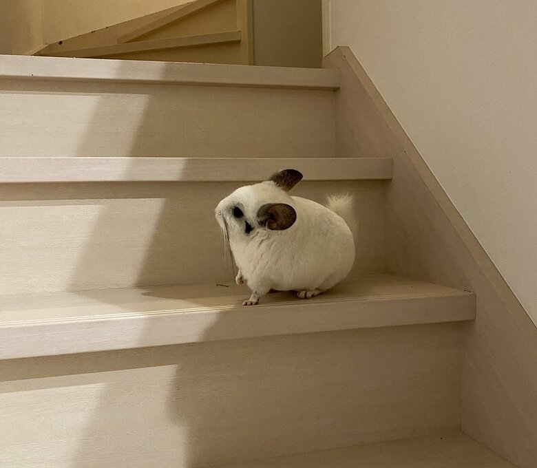 階段を駆け下りるようになったのは約1か月前から