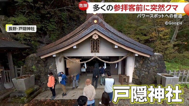 戸隠神社の参道に2頭のクマが現れた瞬間（8月11日、長野市）（7）