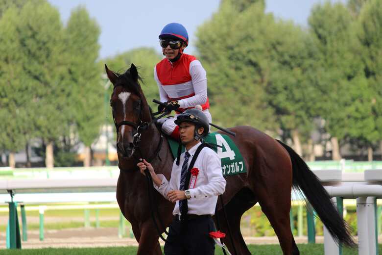 札幌2歳ステークスを制したショウナンガルフ