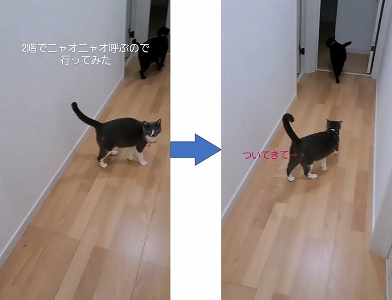 「ついてきてー」と振り返るさちちゃん