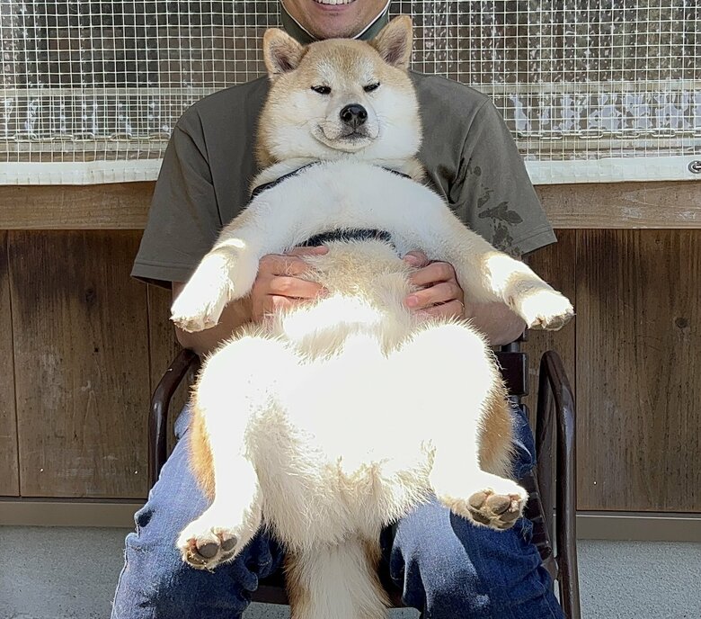 提供：柴リアンハスキーもちごめ兄弟さん