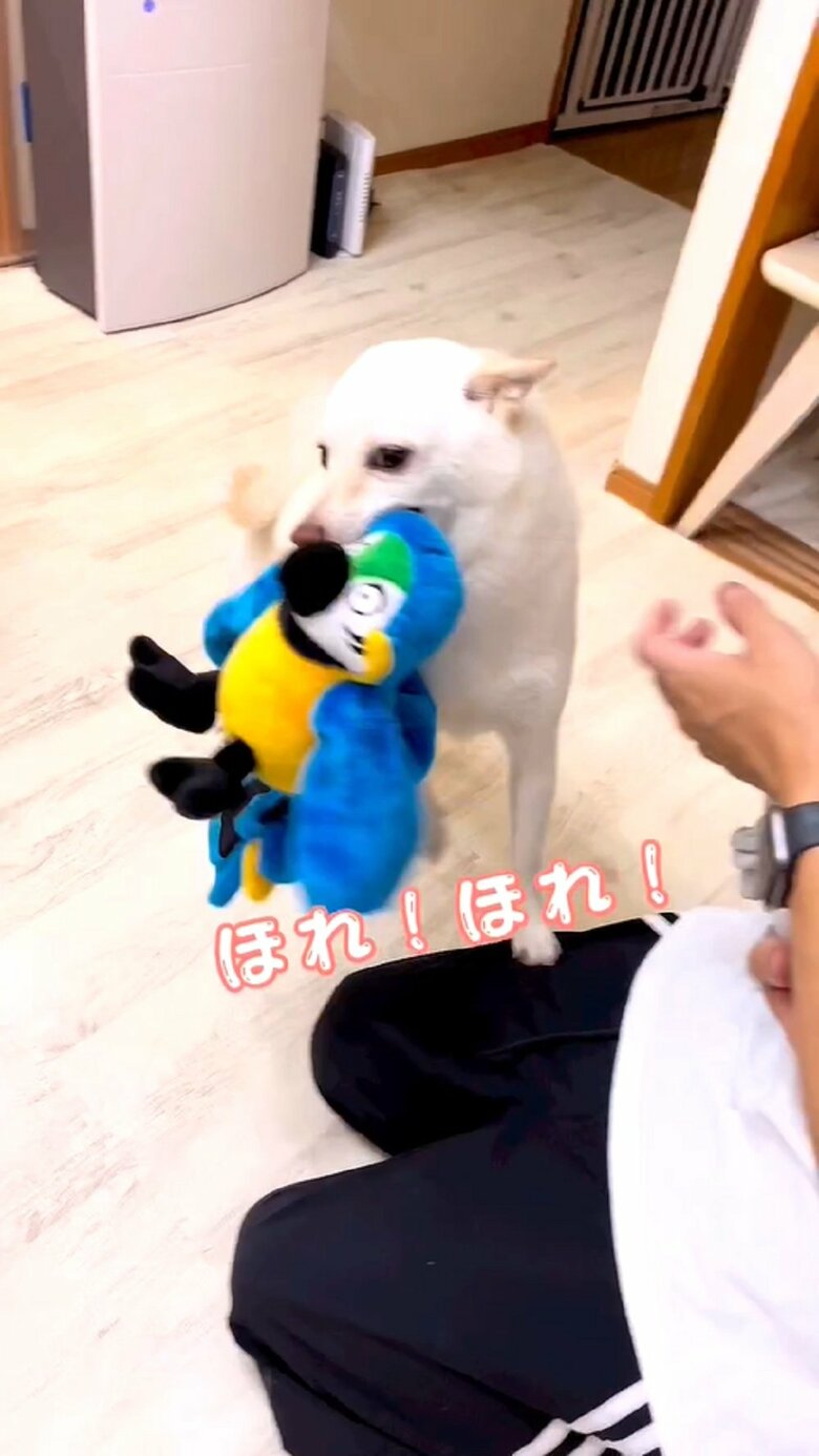 旦那さんが受け取ろうとするも「あなたじゃない」