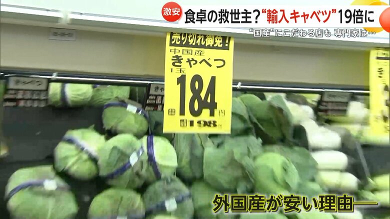 1玉184円と書いてある中国産キャベツ