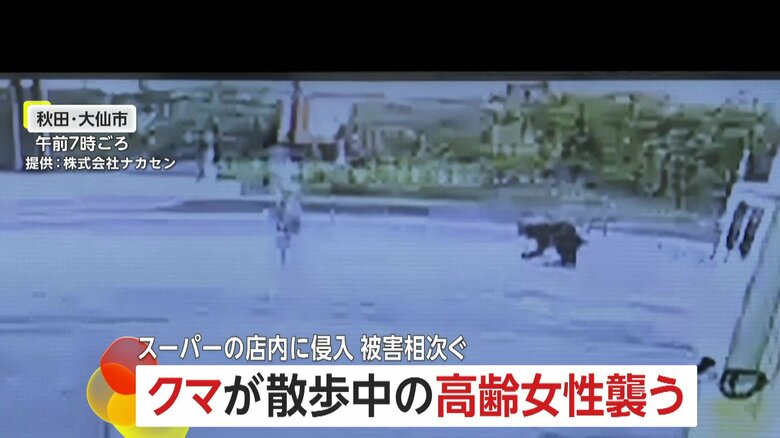 防犯カメラが捉えた、クマが高齢女性に襲いかかる瞬間②