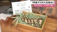 「最高です。香り・甘味がすごい強い」丹波マツタケの初セリ“過去最高”の「6本110万円」で落札　6本で208グラム・大きいものは11センチ　ことしは豊作期待　兵庫・丹波篠山市　