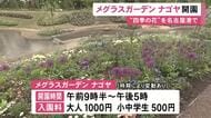 閉園した植物園をリニューアル…名古屋港に庭園施設『メグラスガーデンナゴヤ』オープン 今の時期はアネモネ等の春の花