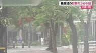 台風13号最接近の本島　那覇市から中継