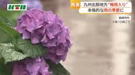 本格的な雨の季節が到来　九州北部地方の“梅雨入り”発表