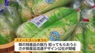 甘みが特長の白石町産スイートコーン　佐賀空港で販売会　旬の味求め会場にぎわう【佐賀県】