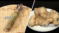 和食の必需品ワサビが高騰　「1～2割」値上げ…しょうがも　日本食ブームで世界中で需要高か　アキダイ社長「産地の異常気象」