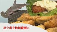 「サメはフライにするのが一番」試作30品目でたどり着く　地域資源化で「厄介者を人気者にしたい」タルタルソースのハンバーガーも登場