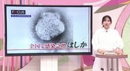 「数年後に死に至ることも」はしかの合併症SSPEとは？インフルエンザをしのぐ感染力で感染急増　ワクチン接種の重要性を専門家が解説