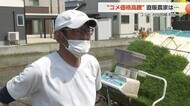 コシヒカリ田植えが各地でピーク  コメの買取価格上昇に恩恵は？生産者が語る現状