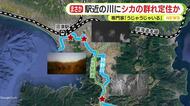 住民も驚愕…JR沼津駅近くの川にシカの群れ!?専門家「うじゃうじゃいる」　シカにとっていい条件がそろい定住か　