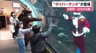 大水槽の中から「ダイバーサンタ」松野町の水族館「おさかな館」に登場　クリスマスムード盛り上げ【愛媛】