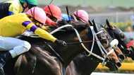 「競馬」「米国株」「宝くじ」 一番当たるのはどれ?