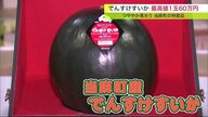 “1玉60万円” つややか黒光る当麻町の特産品「でんすけすいか」　札幌の初競り【北海道発】