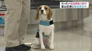 ワンダフルな嗅覚 富山空港に「動植物検疫探知犬」配備