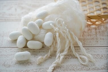繭からマスクを手作り⁉ 5歳息子が「蚕の飼育」に挑戦中…“キヌノマスク”の現状を聞いた