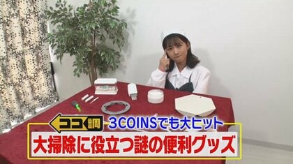 年末大掃除で活躍！3COINS大ヒット「粘着クリーナー」や「緑のライト」など“謎の便利グッズ”を調査