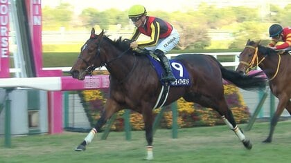 【阪神ジュベナイルフィリーズ】2歳女王決定戦　リバティアイランドに続く“怪物牝馬”誕生なるか？