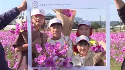 「コスモス＆おむすびプロジェクト」児童が植えたコメをおむすびに　コスモスに囲まれ味わう