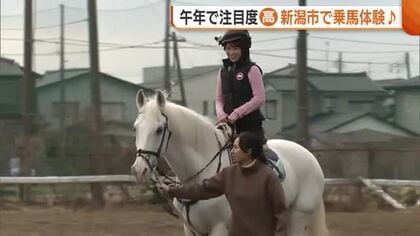リラックス・ダイエット効果も！？午年で人気高まる“乗馬”体験「体幹が自然に鍛えられる」新潟市