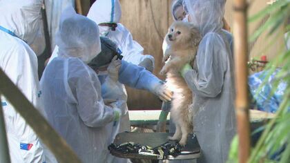 「1週間食べられなかった子も…」犬452匹虐待　元従業員が語る悲惨な実態…問われる行政の責任【長野発】