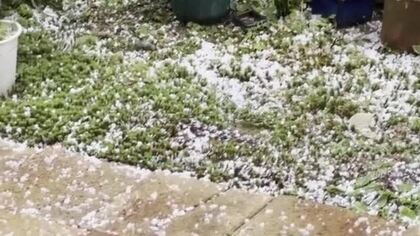 県内は朝から激しい雨　気温上がらず福井市内ではあられも　最低気温は勝山などで7.9度　4日はさらに冷え込む予想