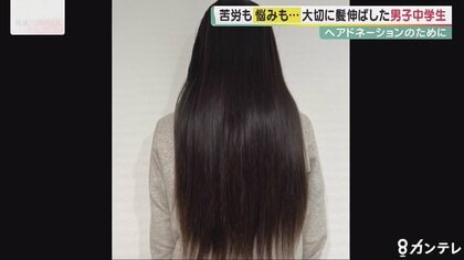 ヘアドネーション　バージン毛　最長70cm 髪束 20歳 女性バージン ヘアドネーション