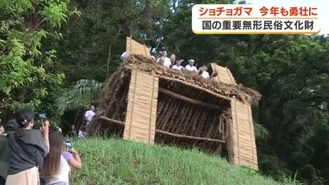 国の重要無形民俗文化財「ショチョガマ」　今年も勇壮に　鹿児島・龍郷町