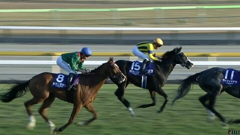 【ジャパンカップ・GⅠ】これが世界No.1ホースの実力！カランダガンが衝撃的タイムで外国馬20年ぶり制覇！