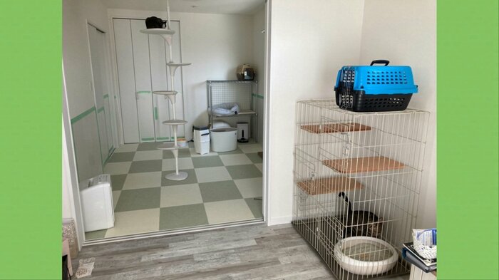 奥のネコ部屋と、手前の部屋に設置したディアナ用のケージ