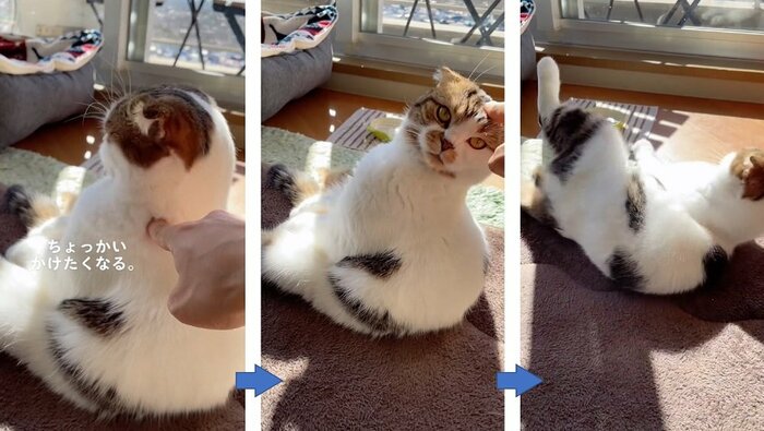 ツンツンからのコロン