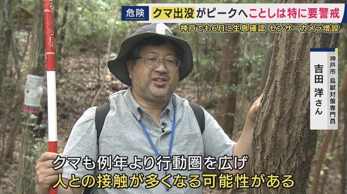 冬眠前のクマに要警戒