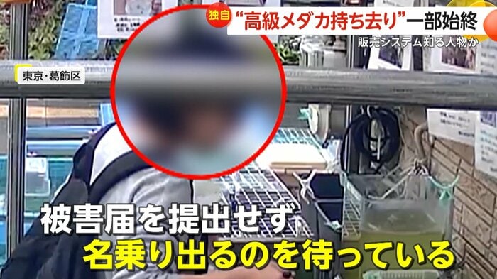 名乗りでてくるのを待っているというメダカ店の店長(視聴者提供)