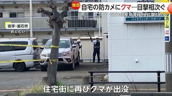 26日に再び現れたクマは麻酔で眠らせ捕獲された
