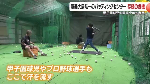 ここで甲子園球児やプロ野球選手が育った　