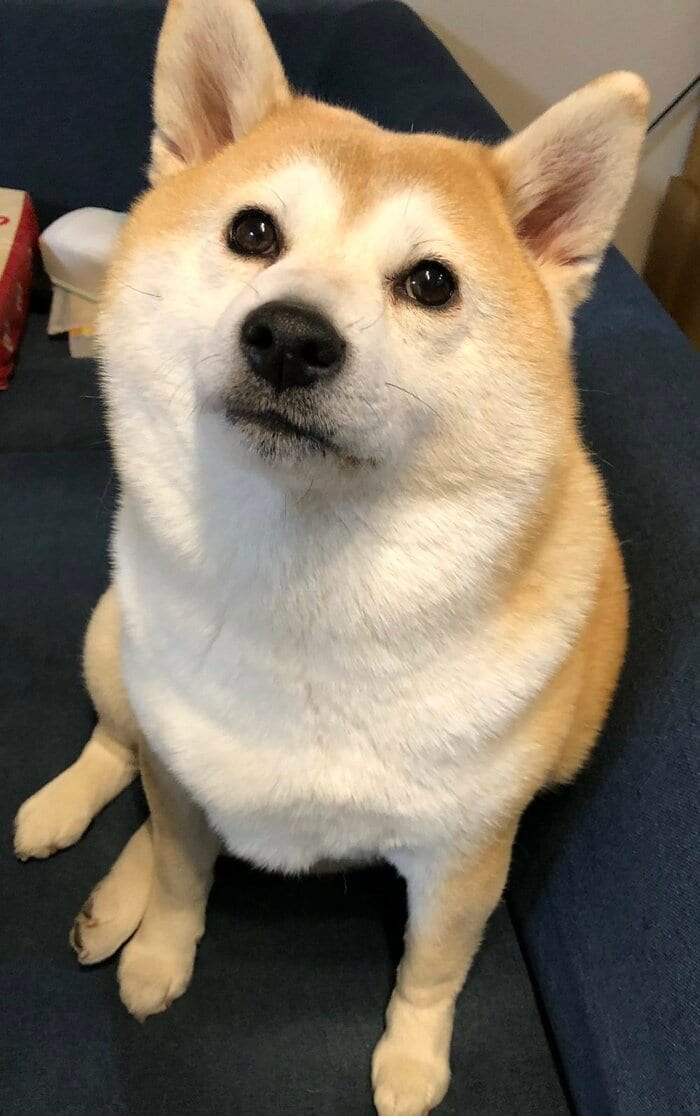 ゆずちゃん