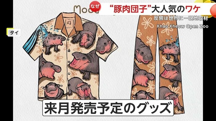 販売予定のグッズ映像(提供:Khao Kheow Open Zoo)