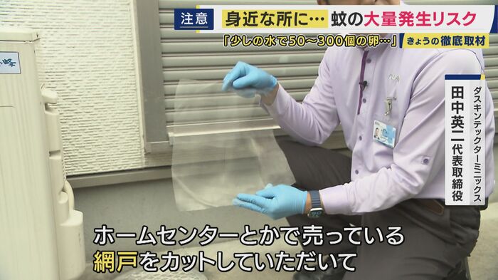 網戸で対策も