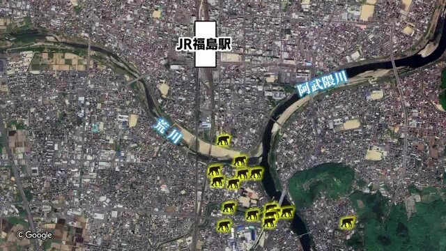 サルの目撃情報
