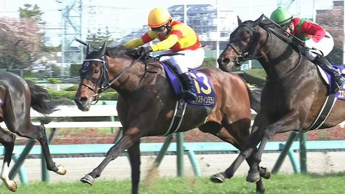 皐月賞を無敗で制したジャスティンミラノ