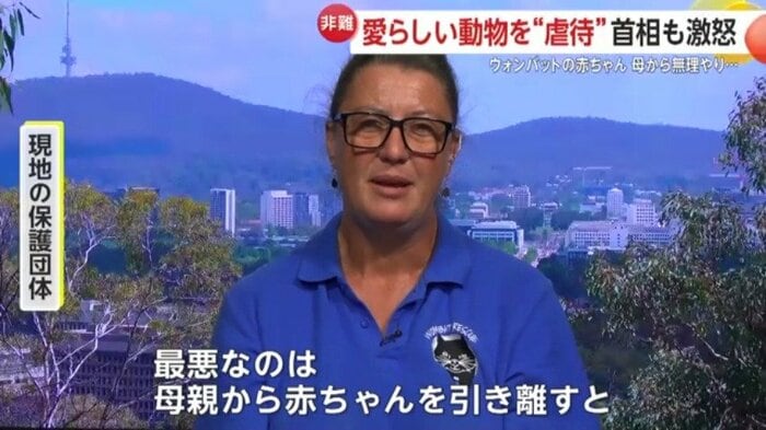 現地の保護団体は懸念を示す