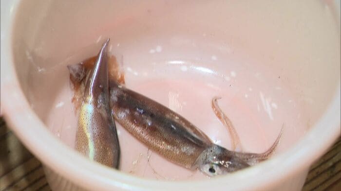函館名物のスルメイカは10年ほど前から不漁