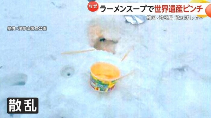 世界遺産の山道で撮影された写真(漢拏山国立公園提供)