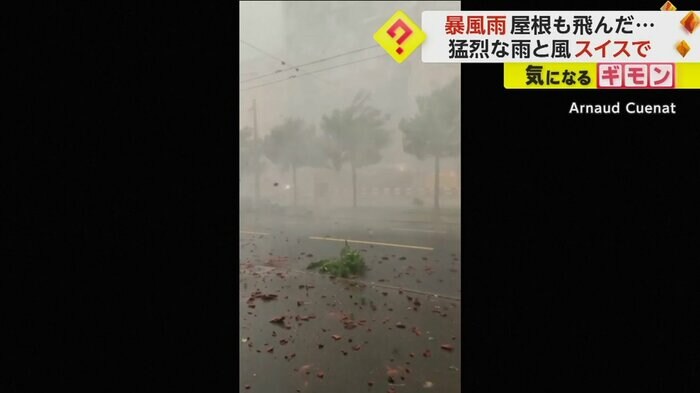 雨と風で街路樹が大きく揺れている